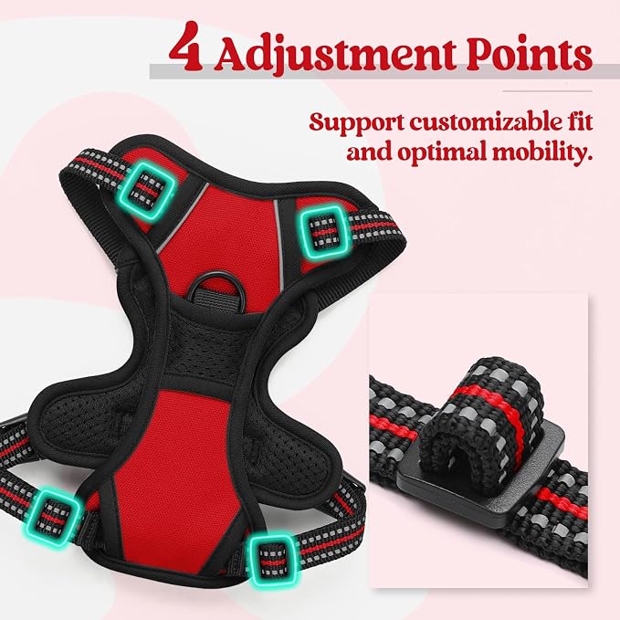 rabbitgoo Dog Harness, No Pull for Small Dogs with 2 Leash Clips, Pet Vest | No Choke, Adjustable, Breathable Padded, 2 Lead Rings, Reflective, Easy Control for Walking Training, XS, Red