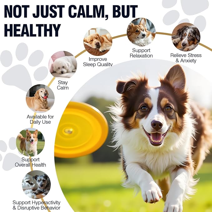 200ct Dog Calming Soft Chews, Chicken, Melatonin, 200-Pack, 200ct