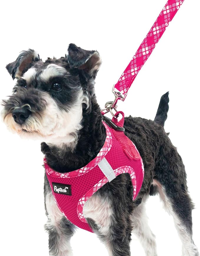 PUPTECK Dog Harness and Leash Set for Small Medium Dogs No Pull Step-in Soft Mesh Puppy Cat Vest Harnesses Reflective at Night, Fuchsia, S