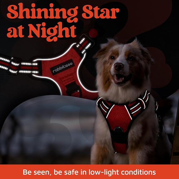 rabbitgoo Dog Harness for Large, No Pull 3 Buckles Easy On & Off | Soft Padded, Walking with Control Handle, Adjustable and Reflective, Red, Large