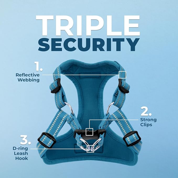Voyager Step-in Flex Adjustable Dog Harness - Turquoise, Small | 15 - 18" in Chest, Fully Adjustable, Reflective Bands, All Weather Breathable Air Mesh, Lightweight, Fast Drying