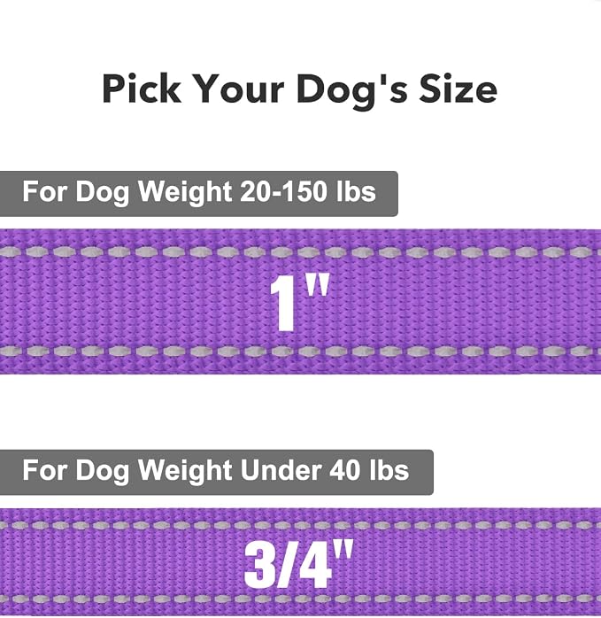 Taglory Reflective Dog Leash for Small Dogs, 3/4in x 5ft, Purple | Ideal for Night Walking, Strong for Sudden Pulls, Lightweight & Gentle on the Neck, Soft Padded Handle