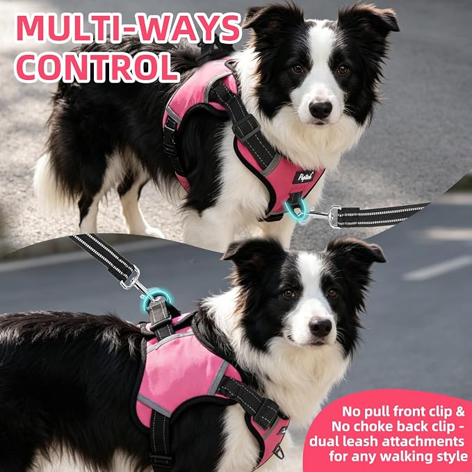 PUPTECK Dog Harness for Large Dogs, No Pull Step-in Pet Vest Harness, Adjustable Soft Padded Reflective Safe Night Walking, No Choke Easy On & Off, Fuchsia L