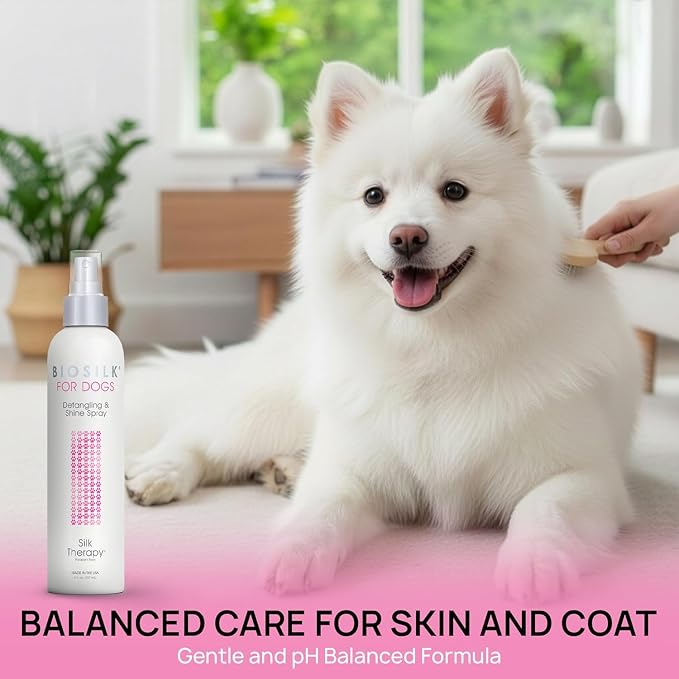 BioSilk for Dogs Silk Therapy Detangling and Shine Spray, 8 Fl Oz, 6-Pack | pH-balanced, paraben-free leave-in mist with silk and vitamins, dematting spray for all coats and breeds