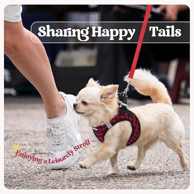 rabbitgoo Dog Harness Small Sized and Leash Set, Step-in Puppy Pet Vest | Light, Soft, Breathable Air Mesh, Easy on and Remove with Hook & Loop, Secure Reflective for Walking, Red Check S