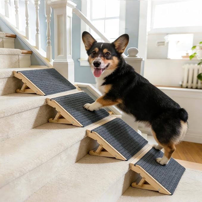 Adjustable Dog Ramp for Stairs, 2-Height Foldable Wooden Pet Steps | 4 Pack, 4.3"/5.5"H, Gentle on Joints, for Small & Senior Dogs, with Anti-Slip Carpet, Solid Wood, 170 lbs, No Assembly