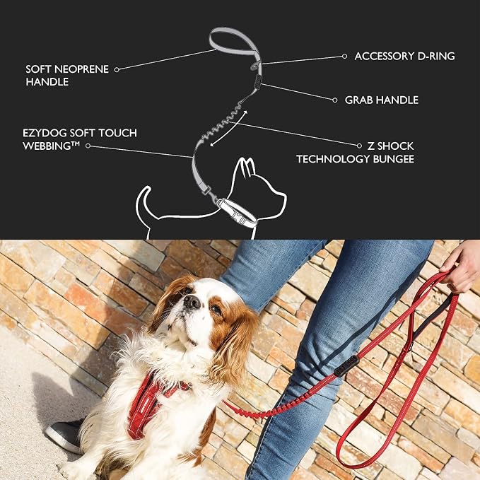 EzyDog Zero Shock Lite - Bungee Dog Leash, for Small Dogs - 48", Blue | Shock Absorbing, Padded Neoprene Grip, Reflective Stitching, Strong for Pullers, .5" Soft Touch Webbing for Durability