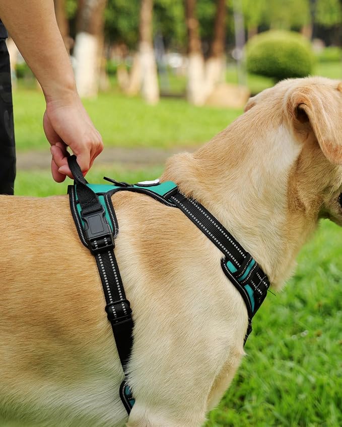 Joytale Dog Harness (Chest: 12-28"), Dog Collar and 6FT x 1" Wide Dog Leash Set, Reflective Neoprene Padded Collar and Leash, and Adjustable Soft Harness with Handle for Dogs