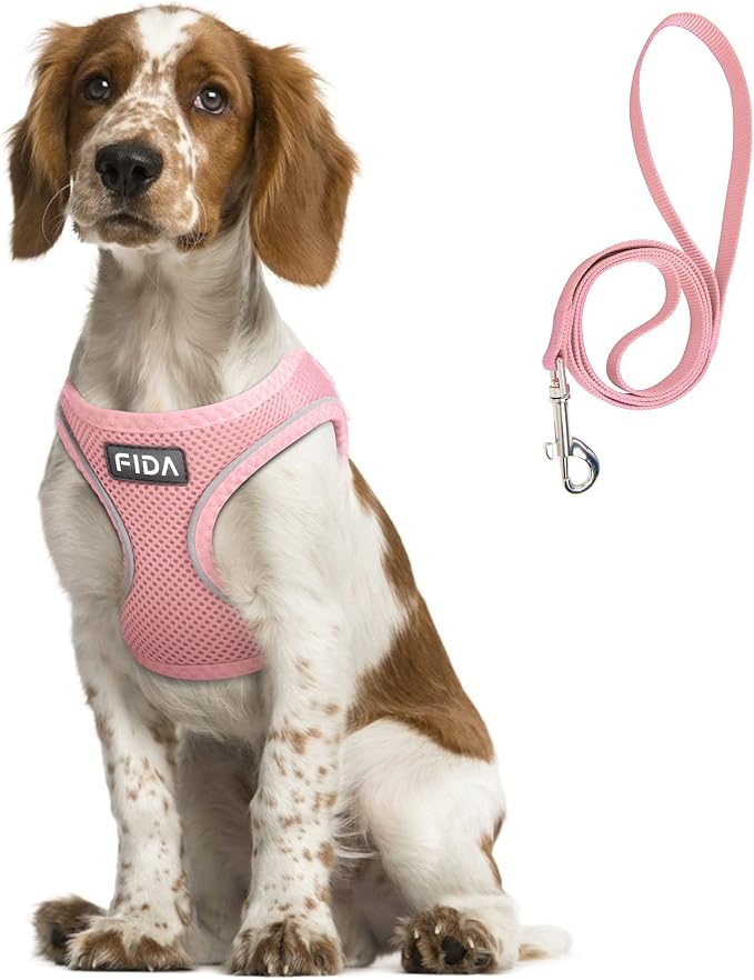 Fida Comfy Dog Harness with Leash, Soft Puppy Vest Escape Proof, Breathable Lightweight Soft Mesh, Adjustable Reflective Step-in Harness for Small & Medium Pet Walking (L, Pink)