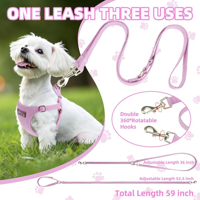 PUPTECK Dog Harness and Leash Set Small Sized, Lightweight Step-in Puppy Harness, Escape Proof No Pull Cute Pet Vest Harnesses, Purple XXS