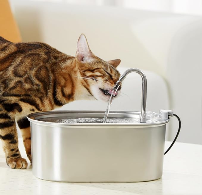 Selene The Doggy Fountain, Stainless Steel, One drinking fountain