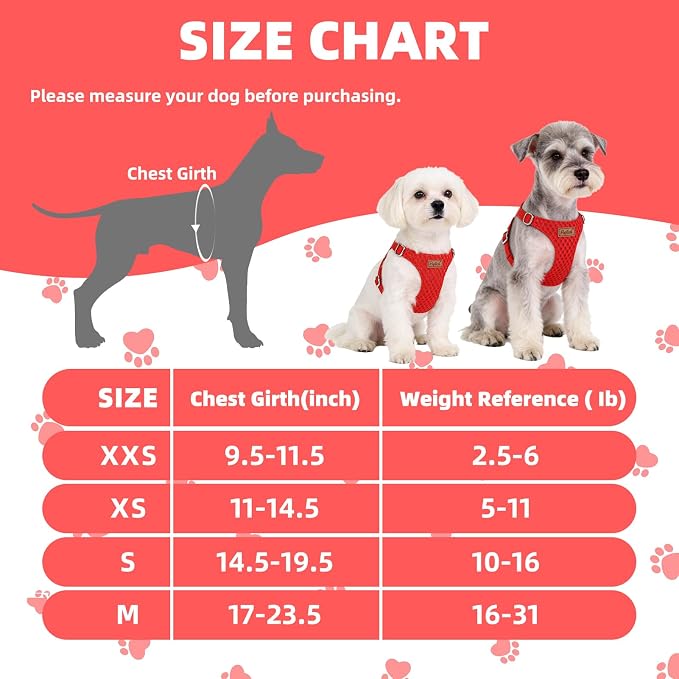 PUPTECK Dog Harness and Leash Set Small Sized, Lightweight Step-in Puppy Harness, Escape Proof No Pull Cute Pet Vest Harnesses, Red S