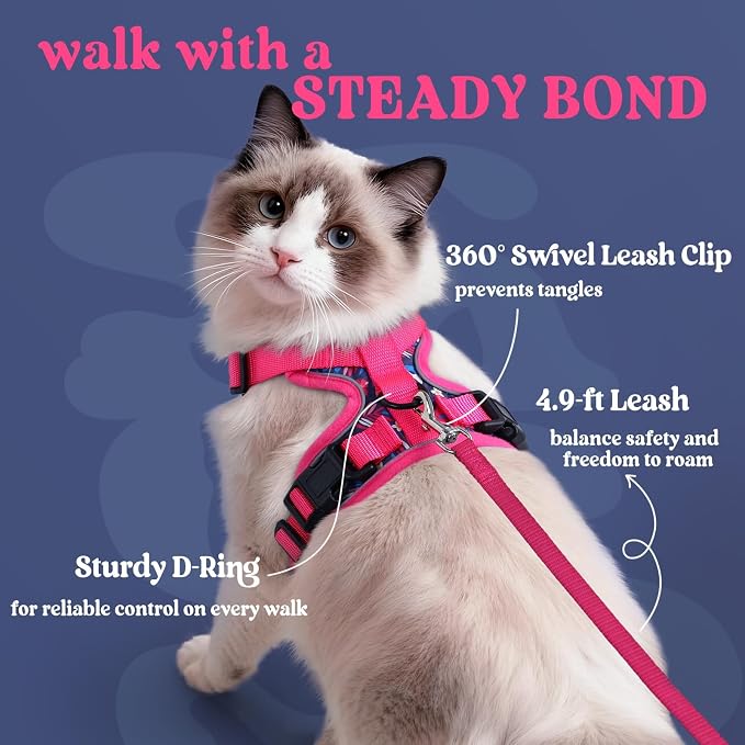rabbitgoo Cat Harness and Leash Set, Escape Proof Vest, Coconut Fuchsia | Soft Breathable Mesh, Easy Adjustable Fit, Snap Buckles, Sturdy Clip, Reflective Strips, for Kittens & Small Cats Walks, Xxs