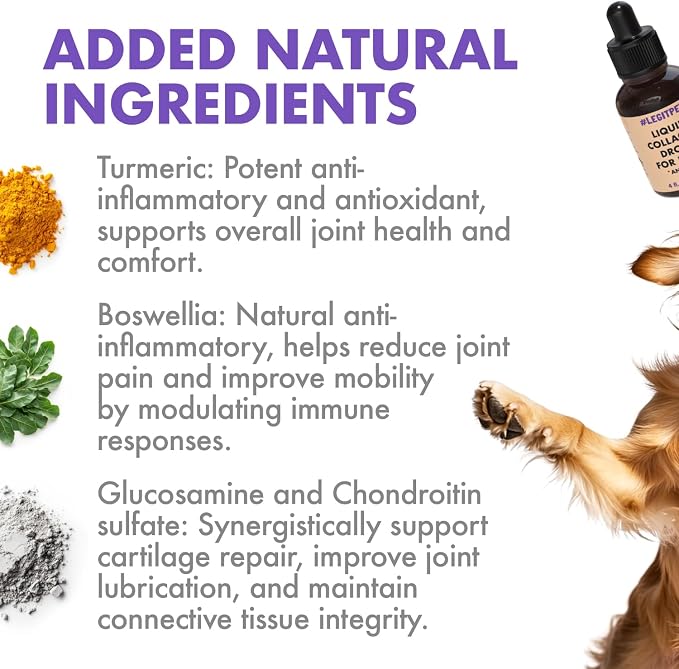 Premium Grass-Fed Collagen for Dogs & Cats Liquid Drops Supplement Daily Formula Support Hip & Joint Skin Coat Gut Hydrolyzed Type I & III Bovine Protein Beef Flavor All Dog and Cat Sizes & Ages