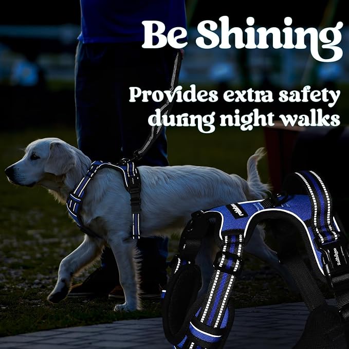 rabbitgoo Dog Harness Medium Sized, Updated Easy On & Off with 3 Buckles | No Pull No Choke, Walking with 2 Clips and Handle, Adjustable Soft Reflective, Blue, Medium
