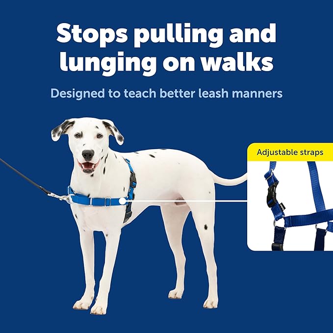 PetSafe Easy Walk No-Pull Dog Harness - Ultimate Harness to Help Stop Pulling - Pull-Free Walks - Take Control & Teach Better Leash Manners - Patented Martingale Loop Design - Royal Blue, Medium/Large