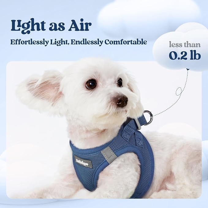 rabbitgoo Dog Harness Medium Sized and Leash Set, Step-in Puppy Pet Vest | Light, Soft, Breathable Air Mesh, Easy on and Remove with Hook & Loop, Secure Reflective for Walking, Navy Blue L
