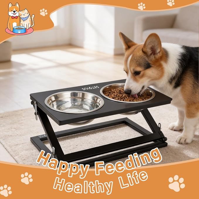 Elevated Dog Bowls, Adjustable Raised Dog Bowl Stand with 2 Stainless Steel Food Bowls 20°Tilted Water Bowls for Medium Small Sized Dogs (Black, Medium)