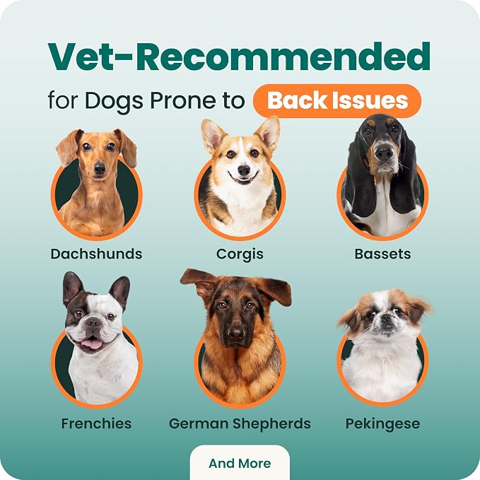 VetriScience Healthy Spine & Disc Easy-Open Capsules, Back and Spinal Support Chondroitin and Taurine Supplement for Dogs, Perfect for Dachshunds, Corgis, Frenchies, Basset Hounds & More, 180 Count