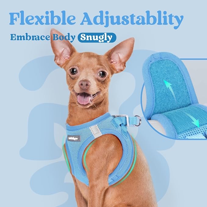 rabbitgoo Step-in Small Dog Harness, Puppy Vest for Small Sized Pet | Easy Put on and off, Lightweight, Soft, Breathable Quick-Dry Air Mesh for Comfortable Secure Walking, Blue XS