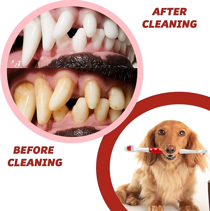 Pet Toothbrush for Dogs, Cats with Soft Bristles - Easy Teeth Cleaning & Dental Care, Non Slip Dual Head Dog Toothbrush for Medium & Large Pets, Toothpaste Not Included, Pack of 4 Red