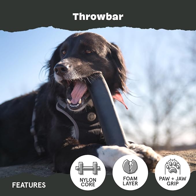 BarkBox Throwbar Super Chewer - Toy for Medium to Large Dogs | Durable Dog Toy for Aggressive Chewers - Fetch Chew