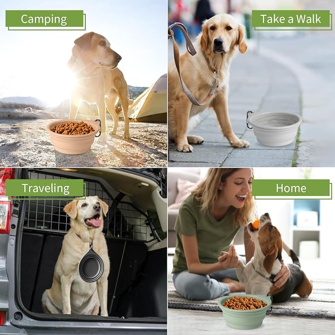 Collapsible Dog Bowls, 2-Piece Puppy Bowl Set