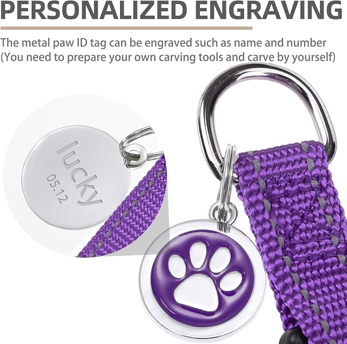 PUPTECK No Pull Dog Harness Small Sized Step-in Adjustable Puppy Vest | Soft Webbing Basic Halter with ID Tag for Outdoor Walking