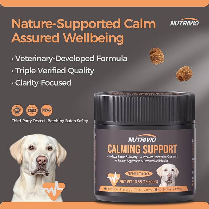 Melatonin Calming Chews for Dogs, Chicken, 300g