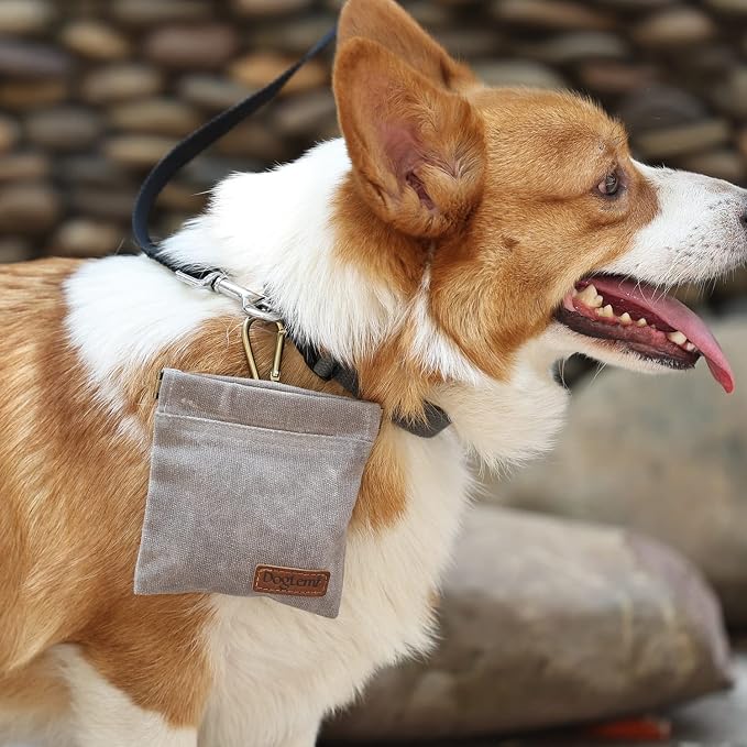 Dog Training Kit: Treat Pouch, Clicker & Whistle, Grey