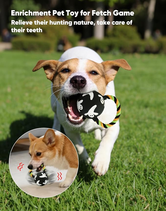 Squeaky Natural Rubber Dog Flying Disc/Frisbee/Flyer with Black Ball Gift | Water-float Natural Rubber Dog Frisbee for Outdoor, Spaceship Shaped 6.5'' Squeaky Interactive Fetch Toy for Anxiety Relief