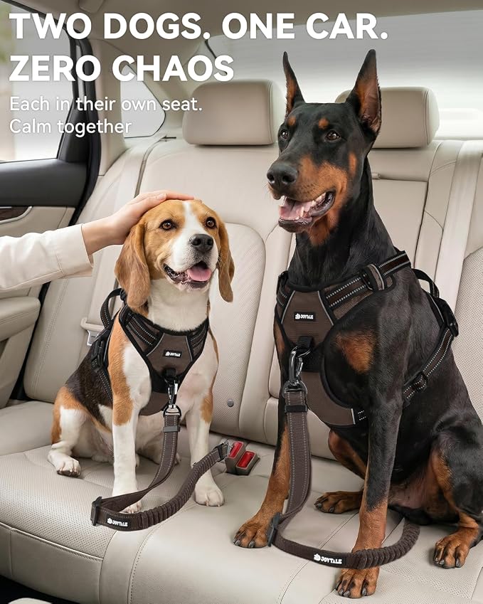 Joytale 3-in-1 Bungee Dog Seat Belt - Brown