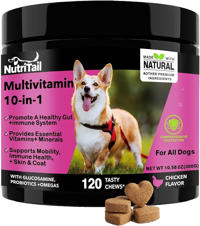 NutriTrail Multivitamin for Dogs – 10-in-1 Soft Chews with Glucosamine, Probiotics, Omega-3, Vitamins & Minerals – Supports Hip & Joint, Digestion, Skin & Coat, and Immune Health – Chicken, 120 Ct
