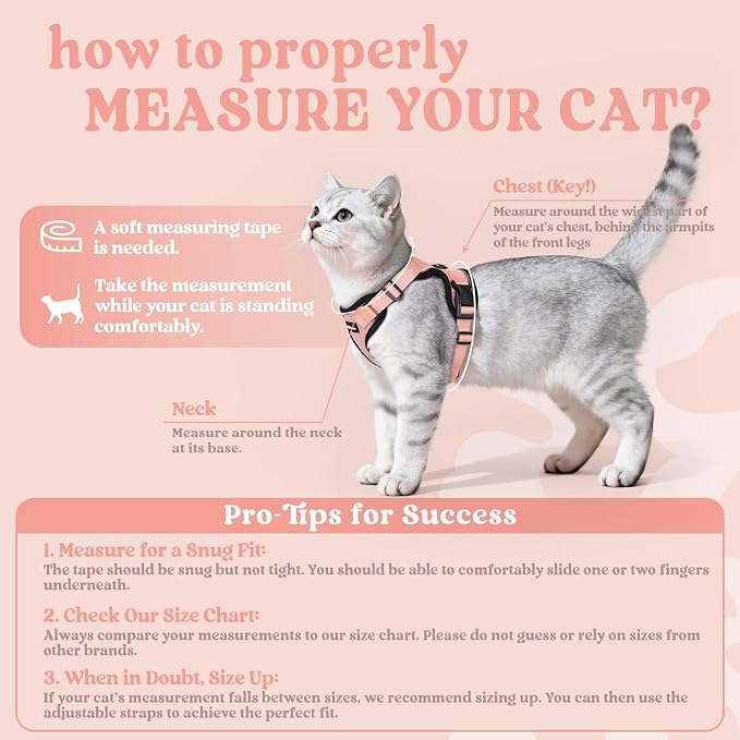 rabbitgoo Cat Harness and Leash Set, Escape Proof Vest, Light Salmon Pink | Soft Breathable Mesh, Easy Adjustable Fit, Snap Buckles, Sturdy Clip, Reflective Strips, for Small & Average Cats Walks, Xs