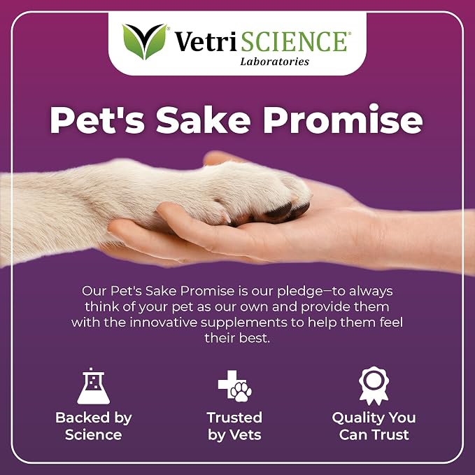 VetriScience Immunity Health Capsules for Small Breed Dogs, 120 Count | Immune Support Supplement for Medium & Large Breed Dogs with Vitamin C, CoQ10 & L-Lysine, Hypoallergenic Formula