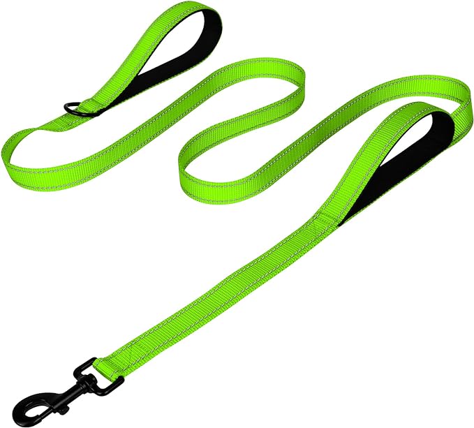 Joytale Dog Leash for Large Dogs that Pull, Double Handle, 4FT, Green | Traffic Handle for Control, Padded Handle Reduces Hand Strain, Reflective Stitching for Night Safety, Strong Nylon Webbing