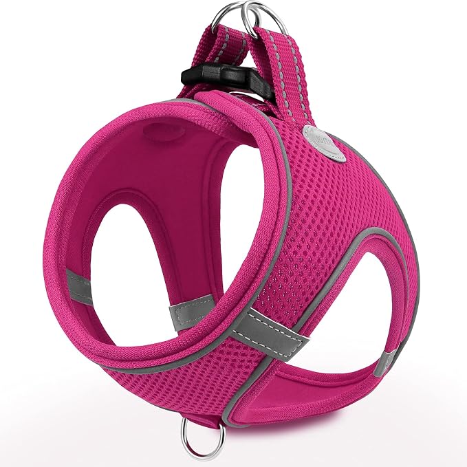 Joytale Step-in Dog Harness, Soft Breathable Mesh, Hot Pink XXS | Adjustable Fit for Small Dogs, Easy Step-in with Secure Fastener, Even Chest Pressure, Reflective For Night Safety, Washable