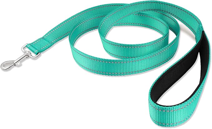 Joytale Dog Collar Bundle with 5FTx3/4 Width Double-Sided Reflective Dog Leash,5FT Nylon Dog Leashes with Nylon Dog Collar for Small Dogs,Teal