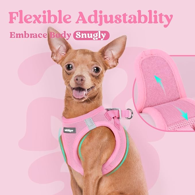 rabbitgoo Step-in Small Dog Harness, Puppy Vest for Small Sized Pet | Easy Put on and off, Lightweight, Soft, Breathable Quick-Dry Air Mesh for Comfortable Secure Walking, Light Pink M