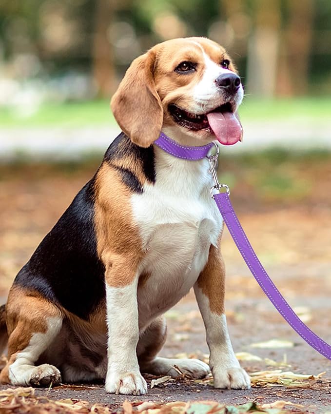 Taglory Reflective Dog Leash for Small Dogs, 3/4in x 5ft, Purple | Ideal for Night Walking, Strong for Sudden Pulls, Lightweight & Gentle on the Neck, Soft Padded Handle