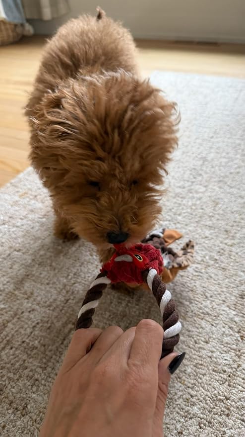 SPOT Skinneeez Tugs Mini Duck Tug Dog Toy – 14" Stuffing-Free Plush Toy with Rope Handle & Squeaker – Durable Tug Toy for Small & Medium Dogs, Moderate Chewers, Assorted Styles