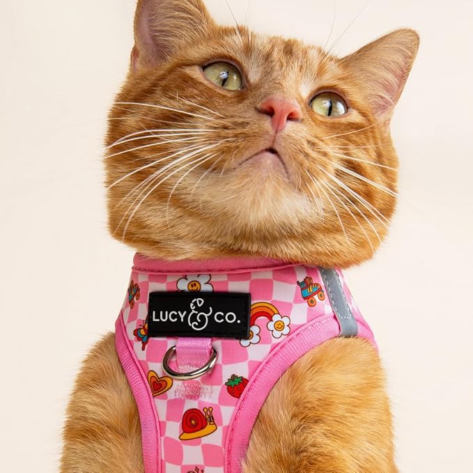 Lucy & Co. Cutie Patootie Step-in Cat Harness & Leash Bundle – Reflective, Breathable & Adjustable Harness for Cats, Kittens & Small Dogs, Lightweight & Secure and Dual Leash Clips