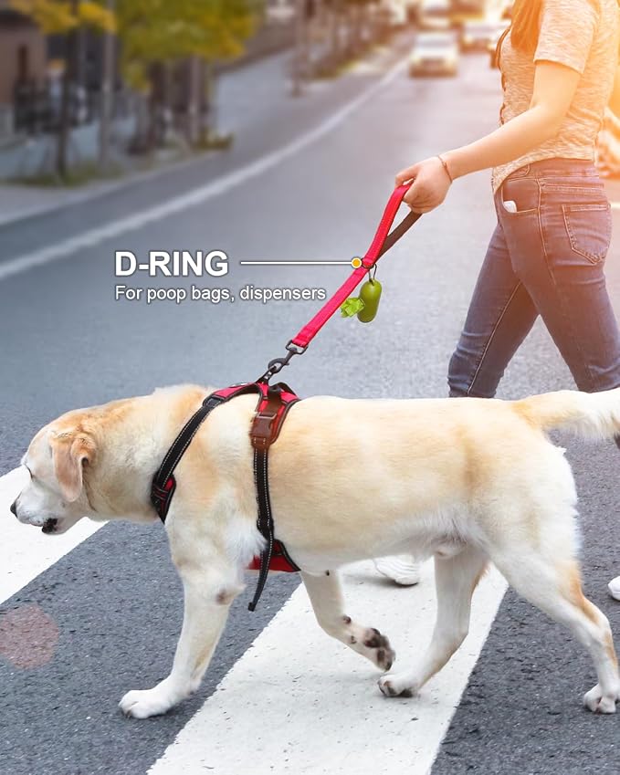 Joytale Short Dog Leash for Close Control & Training, 12", Red | Padded Comfort Handle, Reinforced Nylon Webbing, Secure Metal Clip, for Busy Streets & Heel Training