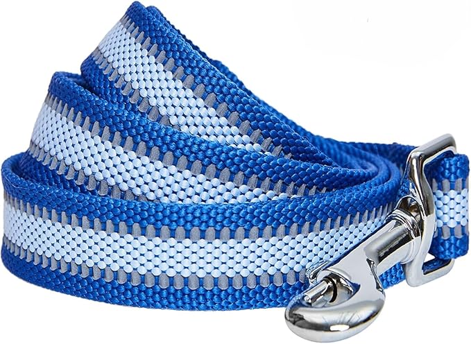 Blueberry Pet Essentials Reflective Dog Leash, Puppy Essentials, Gentle Leader for Dogs, Navy Blue, 5 ft x 5/8 in, Dog Leash for Small Dogs, Durable & Easy Care for Active Pet Owners