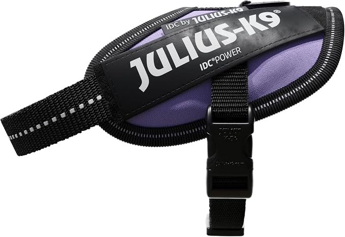 Julius-K9, 16IDC-PR-B2, IDC Powerharness, Dog Harness, Size: Baby 2, Purple