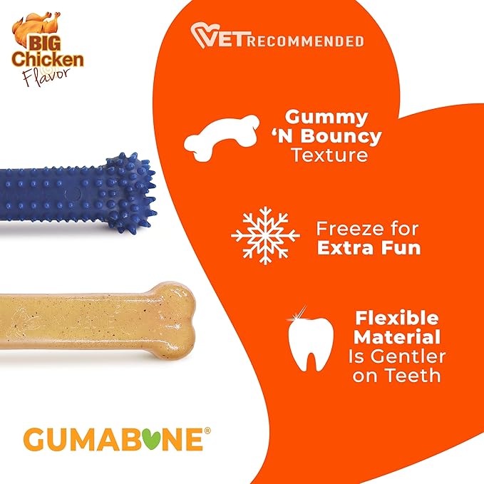 Nylabone Flexi Chew Original Bone & Textured Bone Dog Chew Toys, 2 Count | Chicken flavor, medium breeds, flexible material, gentle on teeth, freezable, great for seniors, for dogs up to 35 lbs