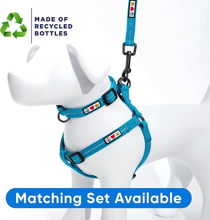 Pawtitas Recycled Reflective Step-in Dog Harness – Adjustable No-Pull Vest for Puppies to Seniors, Safe & Comfortable M Teal