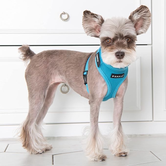 Puppia Soft Superior Dog Harness Air Mesh Over-The-Head All Season No Pull No Choke Walking Training Adjustable Neck & Chest for Small & Medium Dog - Sky Blue - S