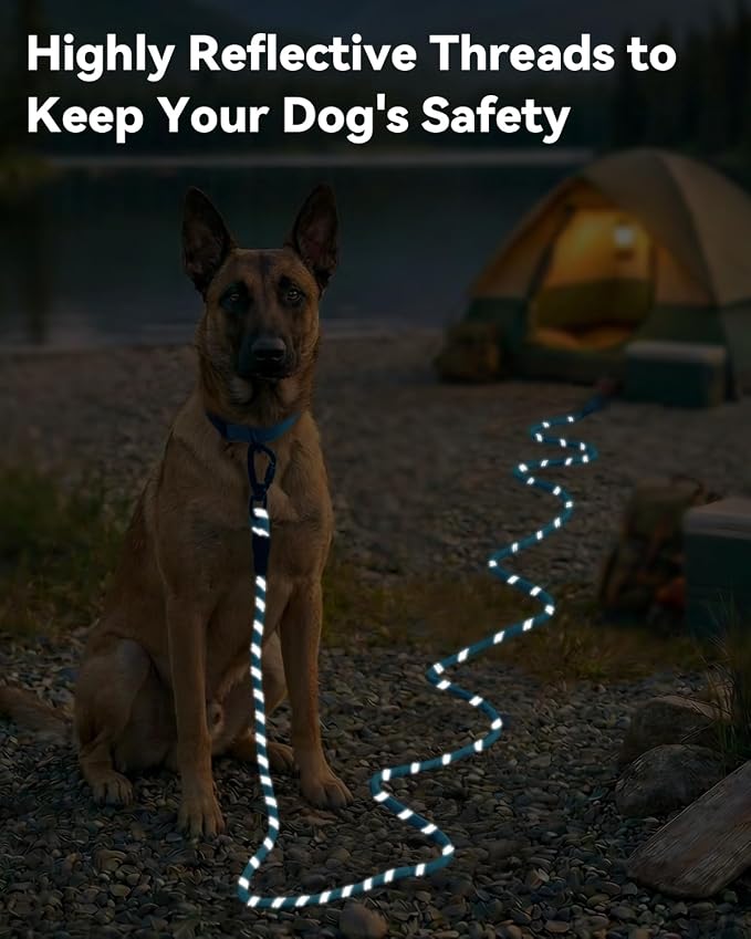 Joytale Long Dog Leash for Yard Tie Out & Recall Training, Blue, 30FT | Secure Locking Carabiner, Removable Padded Handle, Reflective Webbing for Night Safety, Ideal for Outdoor Play and Camping