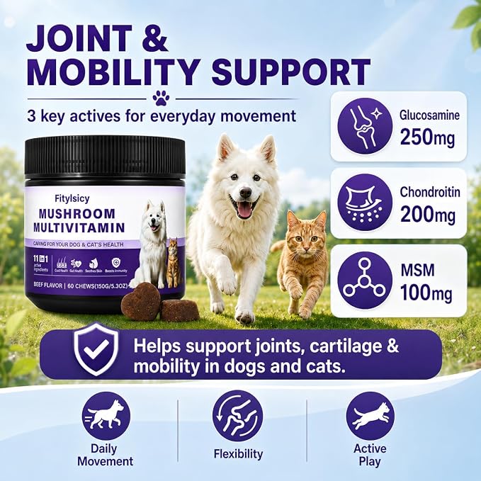 Mushroom Supplement for Dogs & Cats, 11-in-1 Pet Multivitamin Soft Chews, 13 Organic Mushrooms with Glucosamine, Chondroitin, MSM & Omega-3, Immune, Gut, Joint, Skin & Coat Support, Beef, 60 Count